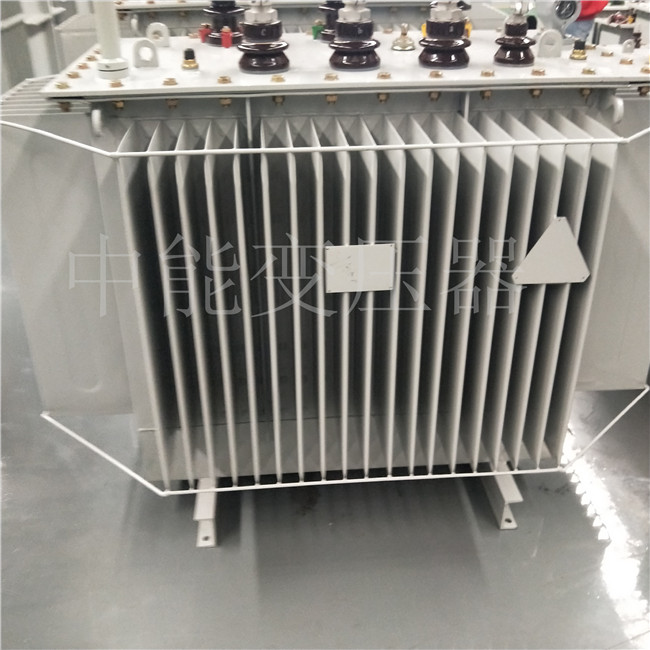 漳州S20-800KVA变压器